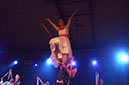 DSCF0367