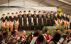 Chorus Line